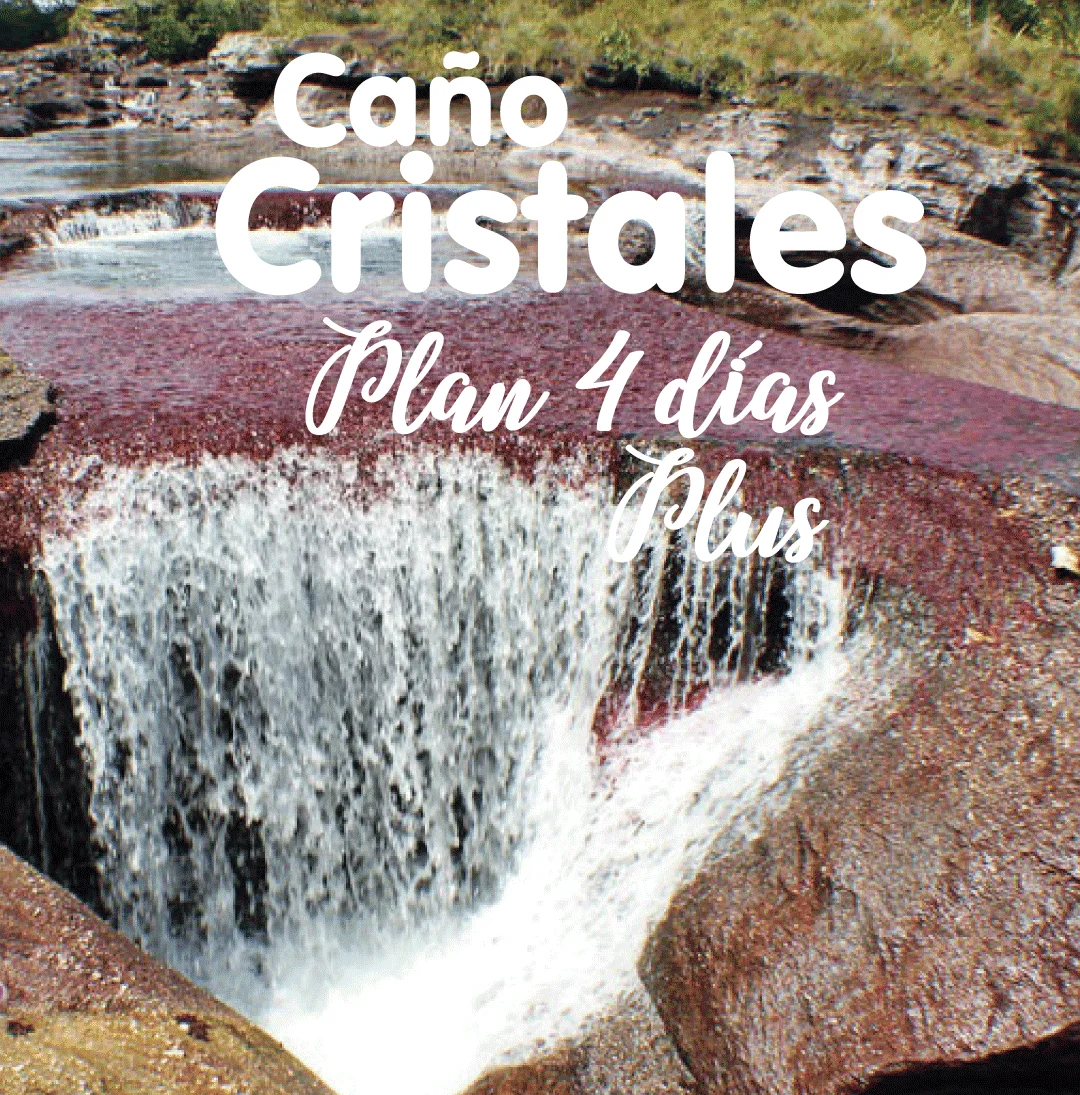 4-días-plus