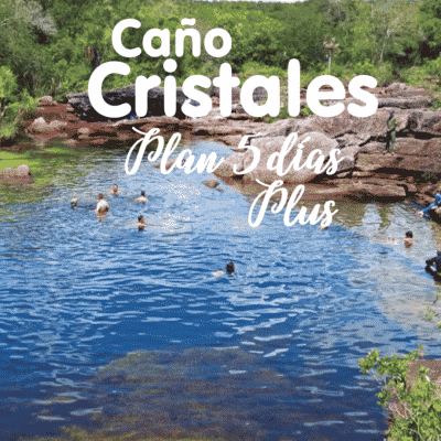 Tour Caño Cristales the River of Colors 5 days Plus