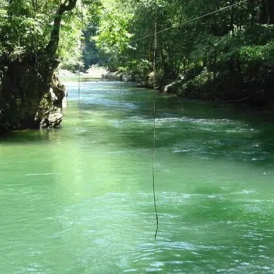 Tour Hacienda Napoles & Rio Claro 2 days